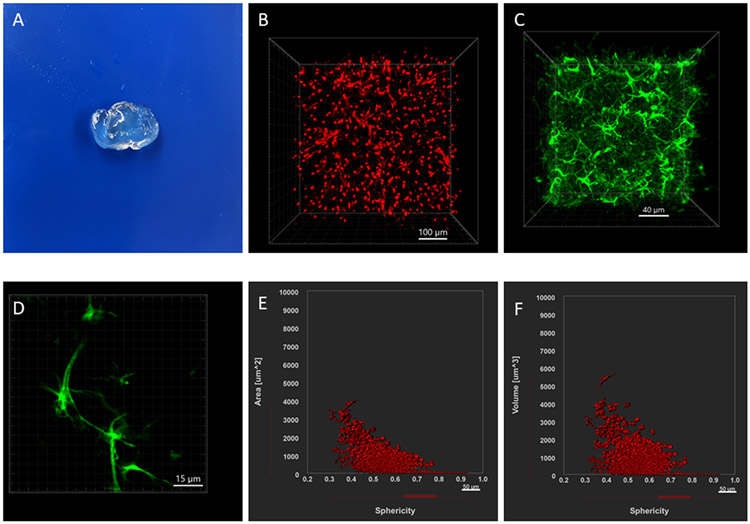 FIGURE 6: