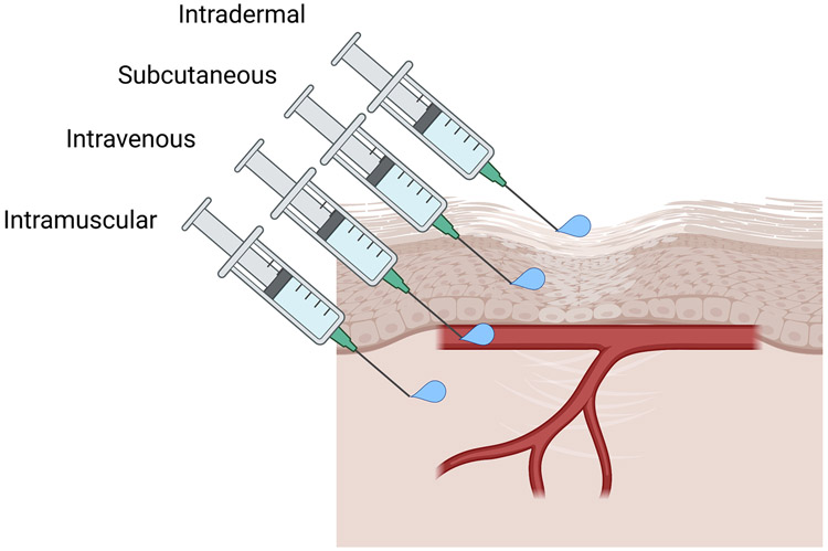 FIGURE 2: