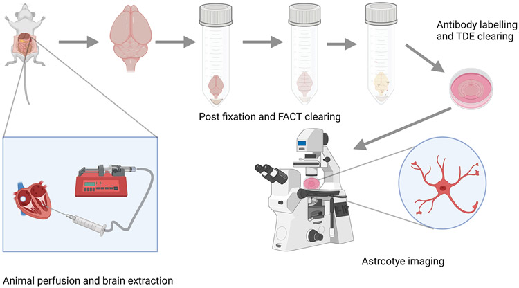 FIGURE 1: