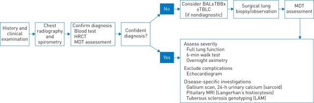 FIGURE 1