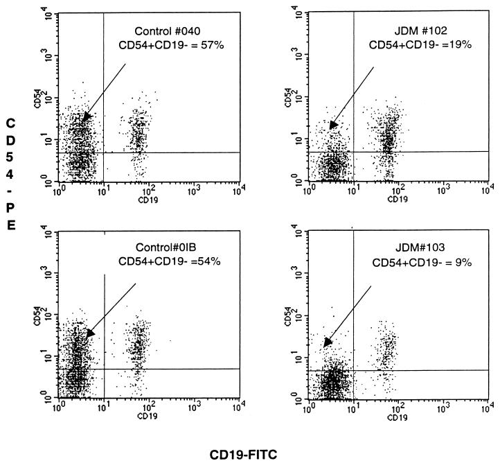 FIG. 1