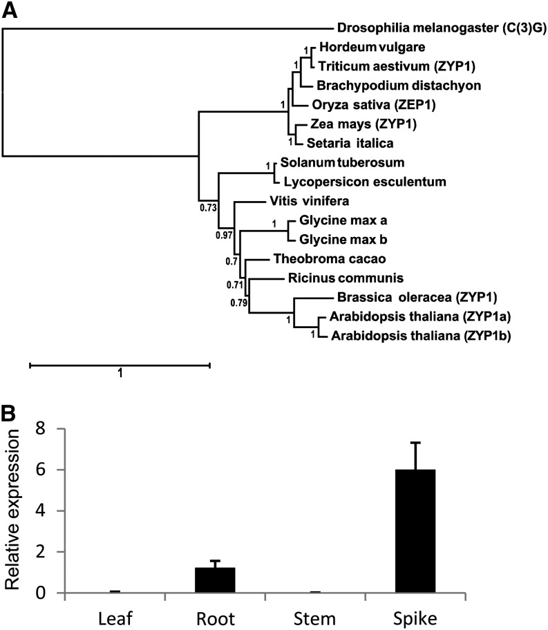 Figure 1.