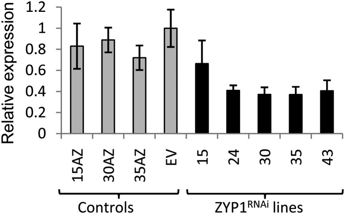 Figure 2.