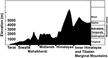 Fig. 1