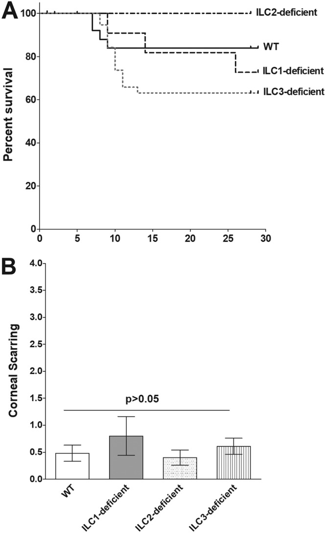 FIG 7