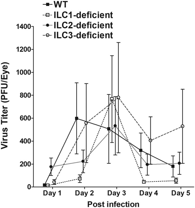 FIG 6