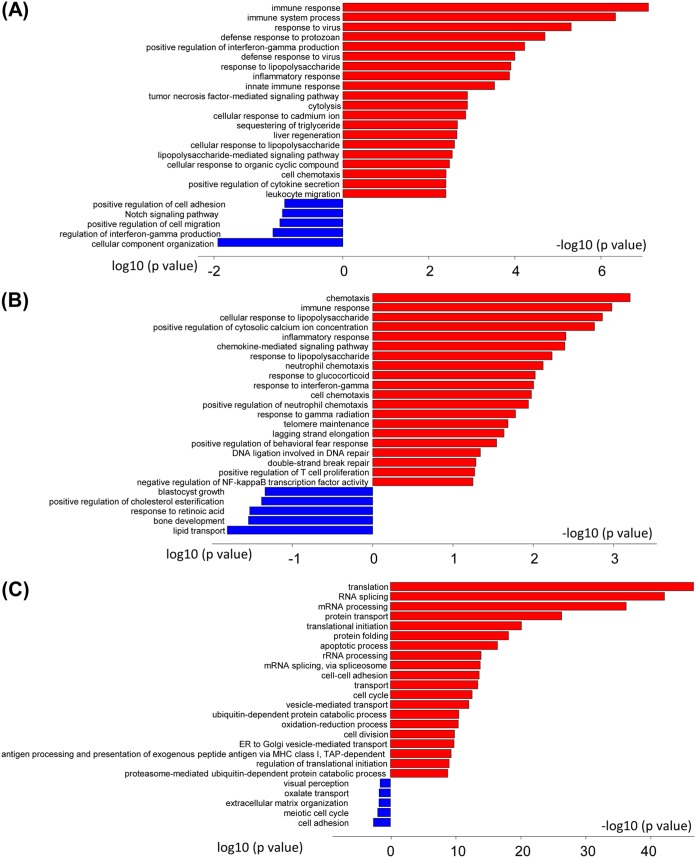 FIG 3