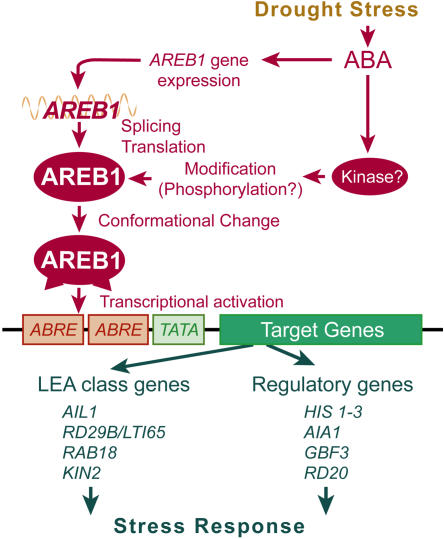 Figure 7.