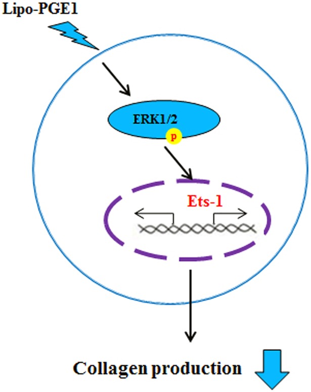 Fig 5