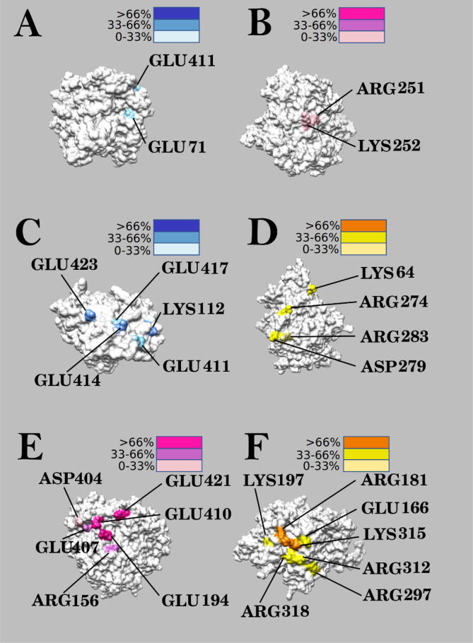 Fig. 13