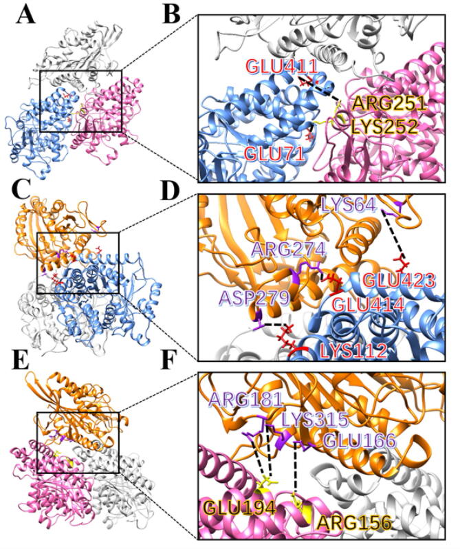 Fig. 12