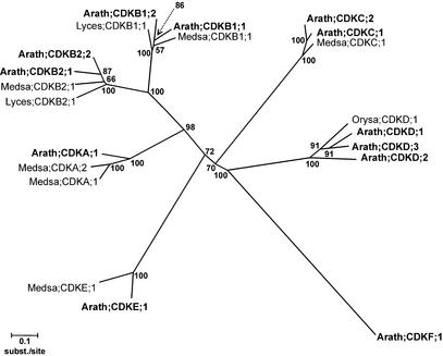 Figure 1.