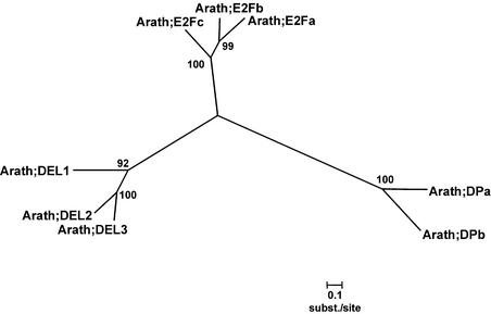 Figure 4.