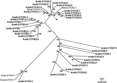 Figure 2.