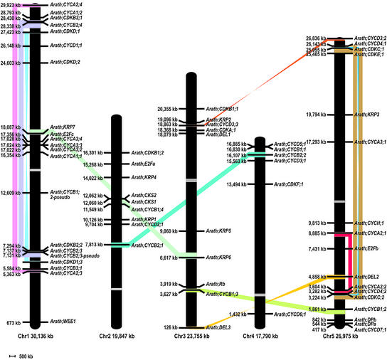 Figure 6.