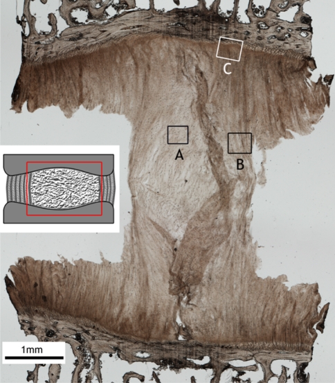 Fig. 5