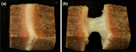 Fig. 2