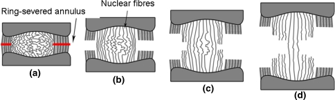 Fig. 13