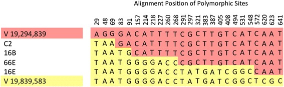 Fig. 6