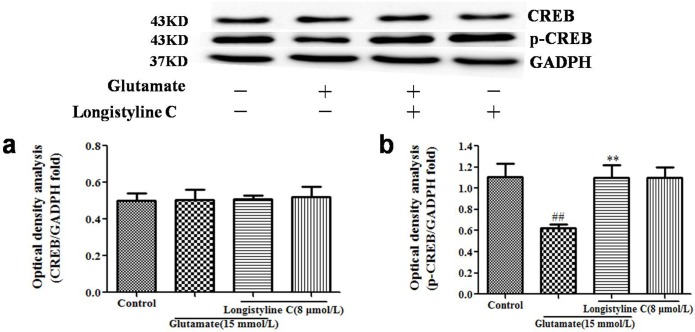 Fig 10