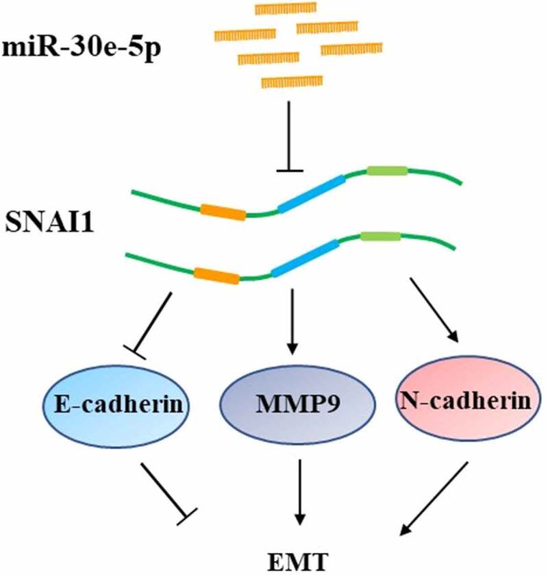 Figure 11.
