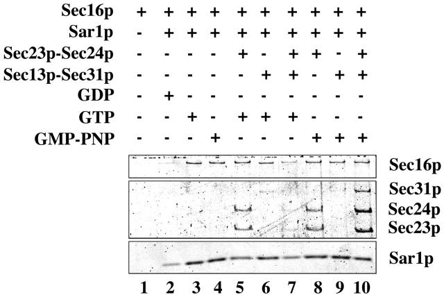 Figure 7.