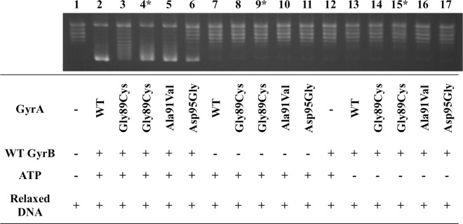 Fig 2