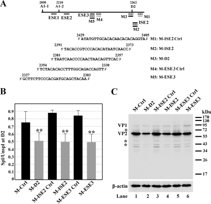 FIG. 4.