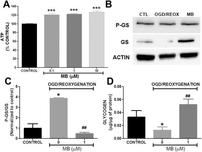 Fig 6