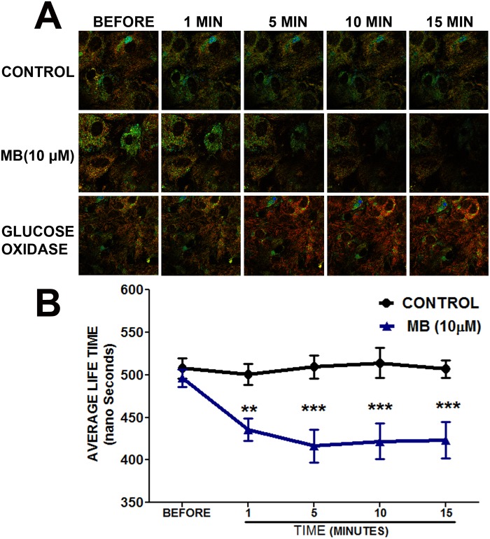 Fig 3