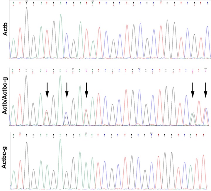 Figure 1—figure supplement 2.