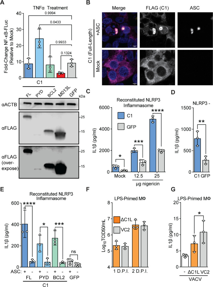 Figure 4: