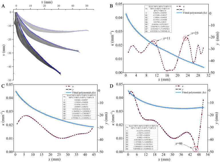 Figure 5