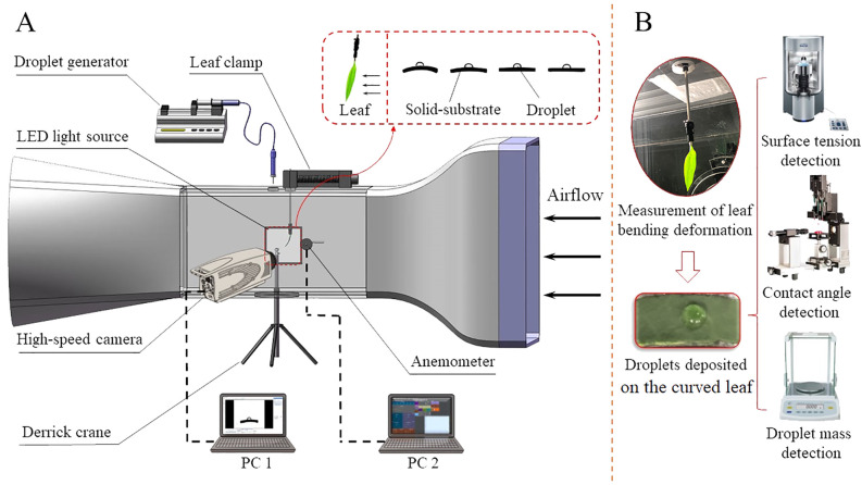 Figure 2