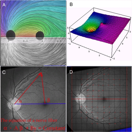 Fig. 1.