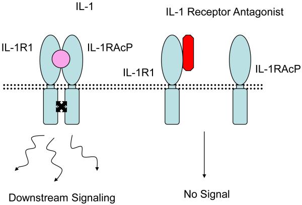 Figure 1b