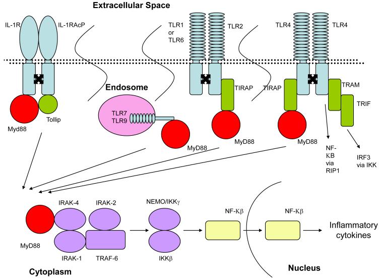 Figure 1a