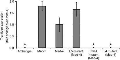 Fig. 5.