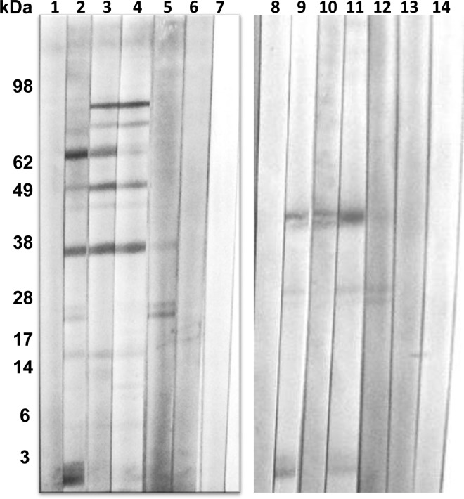 Figure 5.