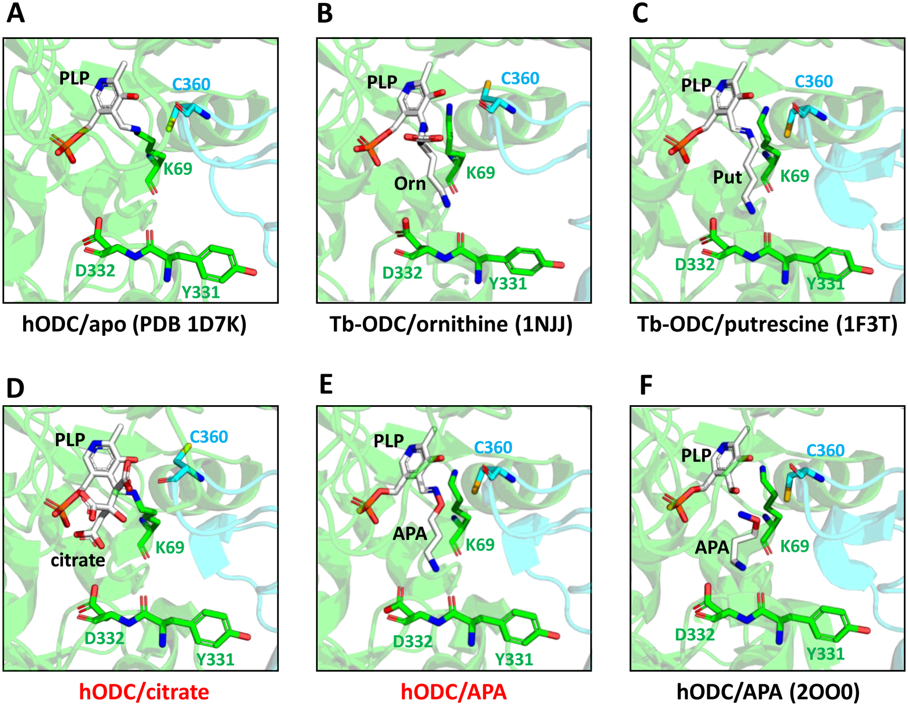 Figure 6: