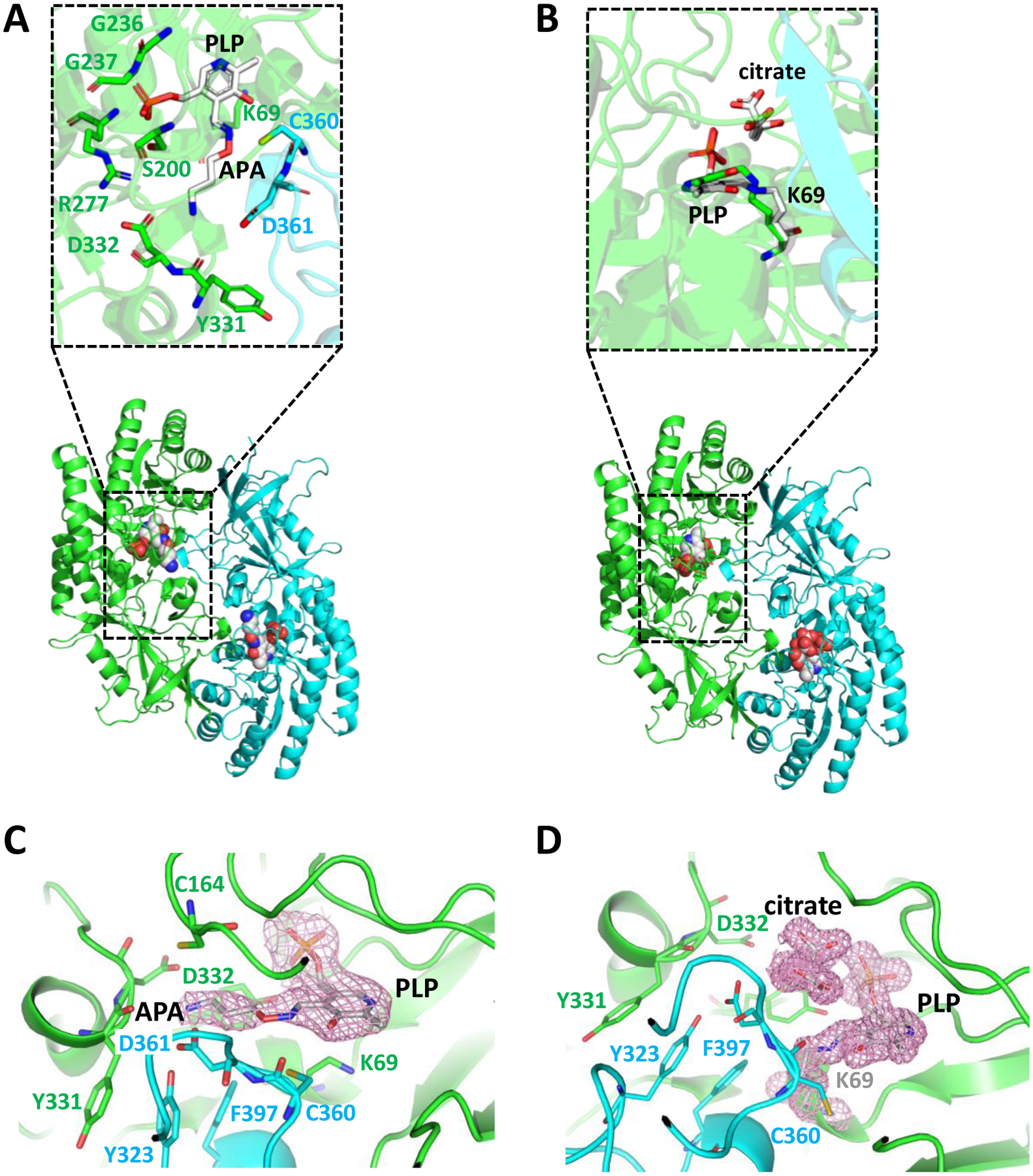 Figure 3: