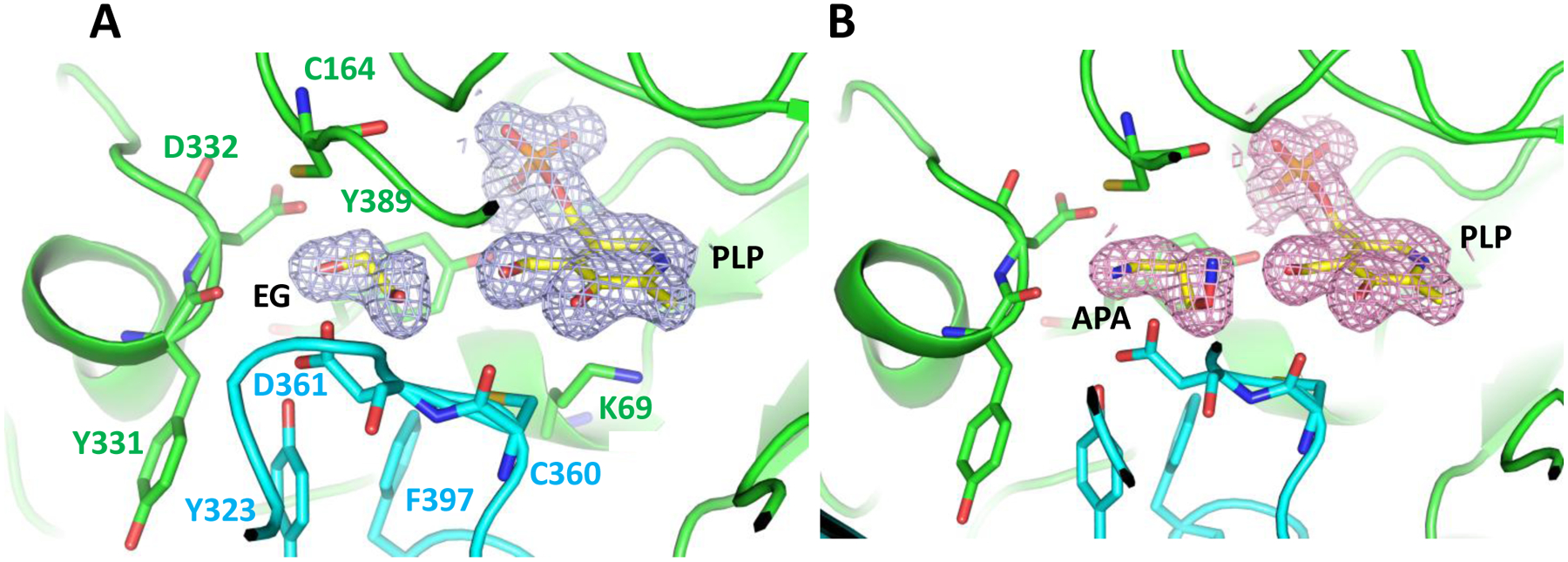 Fig. 9.