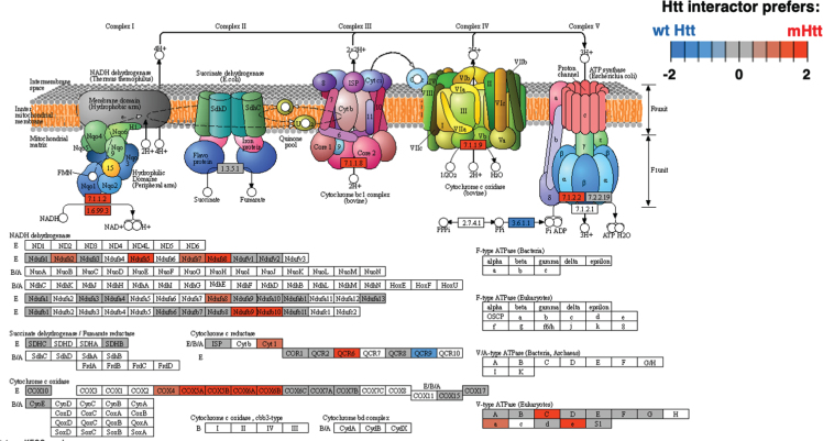 Fig. 10