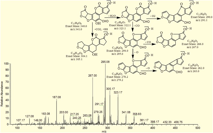 Figure 9