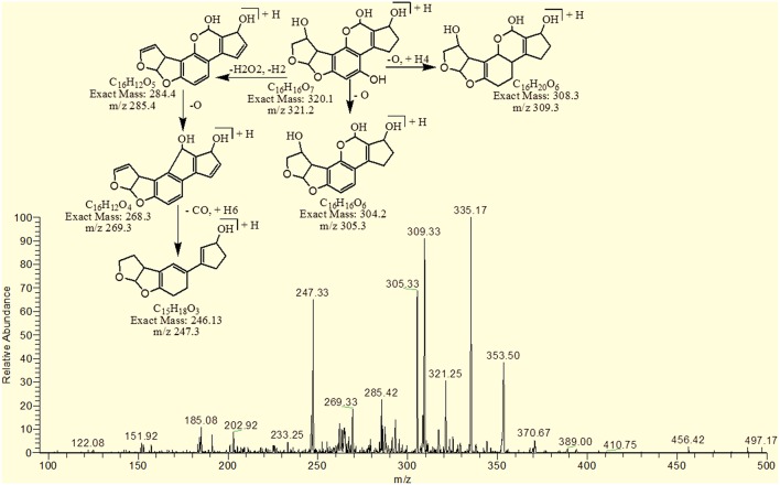 Figure 6