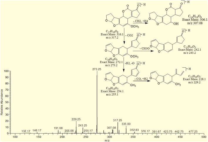 Figure 12