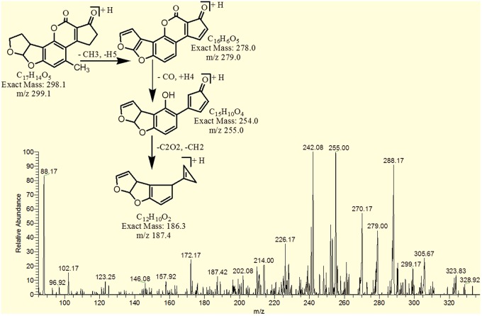 Figure 11