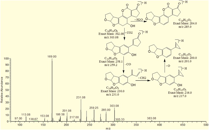 Figure 5