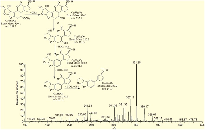 Figure 10