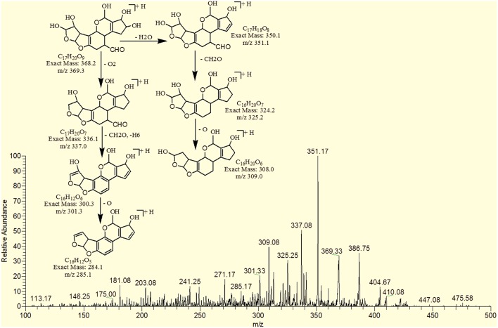 Figure 7